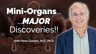 Organoids to Model Human Diseases with Hans Clevers  Sanford Stem Cell Symposium 2023 [upl. by Norre]