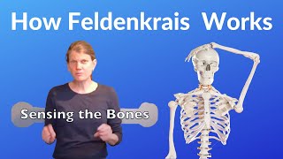 What is Feldenkrais  3 Principles by Annie Thoe [upl. by Jeffcott]