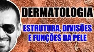 Sistema Tegumentar  Pele Estrutura divisões camadas e funções  VideoAula 036 [upl. by Adnohral465]