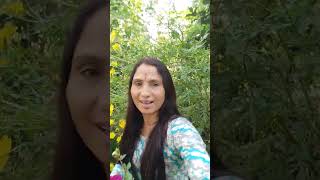 bollywood song music bollywoodsongs flowers like comment Lkarki [upl. by Leora921]