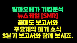 뉴스케일 SMR  주요계약 파기 소식과 공매도 보고서 [upl. by Caraviello]