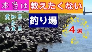 愛知県amp三重県の釣り場紹介・釣り初心者におすすめ／クロダイ、シーバスルアー釣り、ハゼ釣りちょい投げ向けの超穴場 [upl. by Haem30]