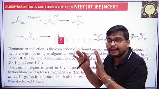 Q11jeemains PYQs HINDI  NCERT LINE BY LINE PAGE239 neet2025 class12 ncert  ZnHg HCl Reaction [upl. by Cowey]