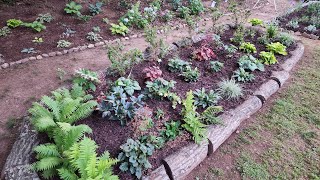 Finally completed this massive perennial bed in my GA zone 8a garden Third times the charm [upl. by Al]