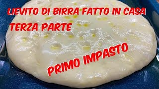 Lievito di Birra Fatto in Casa DAVVERO terza parte [upl. by Enileda]