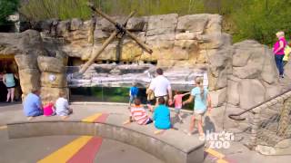 Akron Zoo 2015 TV Commercial [upl. by Rab]