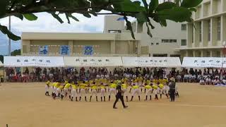 平成29年度 長嶺中学校体育祭 [upl. by Arres799]