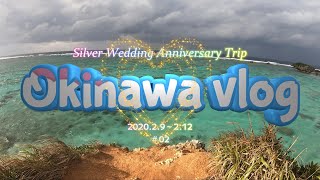 沖縄サプライズ旅行 ～Silver Wedding Anniversary Trip～ 02 [upl. by Nulubez386]