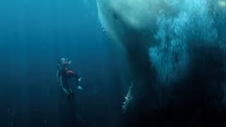 Megalodon vs Shark Cage  The Meg 2018 Movie Clip HD [upl. by Yc]