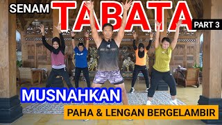 BAKAR LENGAN BERGELAMBIR DAN PAHA BERGELAMBIR  TABATA PART 3 [upl. by Zurek]