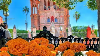 Noviembre en San Miguel de Allende ❤️ [upl. by Anilehs]