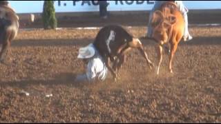 2016 St Paul Rodeo Highlights [upl. by Rosenstein]