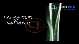 ዘማሪ ፓር ተስፋዬ ጋቢሶ NEW SONG Lyrics PROTESTANT MAZMUR [upl. by Kumagai]