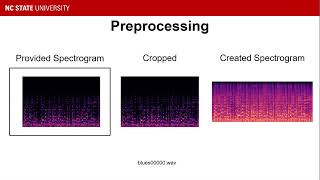 MLSS  Music Genre Classification Using Spectrograms [upl. by Einegue]