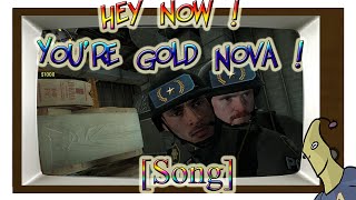 Hey now  Youre Gold Nova SONG ♪  CounterStrike Global Offensive [upl. by Procter]