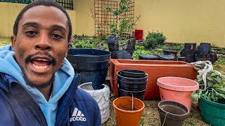 Container Gardening The Different Types Crops To Grow amp How to get Started Gardening South Africa [upl. by Ahsei]