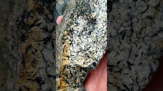 My Daily Rock 14 Mafic Metamorphic Treasures Poudre Canyon Colorado geology rockhounding [upl. by Nonarb]