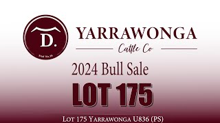 Lot 175 Yarrawonga U836 PS [upl. by Blasien834]