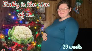 2729 Week Pregnancy Update Dec 8th 15th and 22nd [upl. by Saied336]