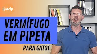 178  COMO DAR VERMÍFUGO PARA GATO ESSA É A MELHOR FORMA [upl. by Alten]