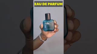 💥Wild stone Edge Perfume honest review🔥 Best summer perfume fashionthamizha tamilfashion shorts [upl. by Eiramrebma310]