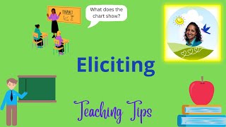 Eliciting Information from Learners [upl. by Iretak618]