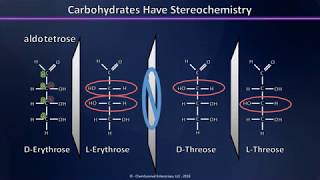 A Brief Introduction to Carbohydrates Aldoses Ketoses and their Stereochemistry Explained [upl. by Eiroc398]