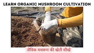 Organic Oyster amp Milky Mushroom Cultivation step by step method  How to grow mushrooms Easily [upl. by Botsford]