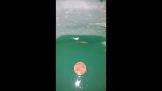 Ohio Gold Prospecting new DIY underflow gold sluice build  round 2  test case 5 Jan 2016 [upl. by Yttik870]