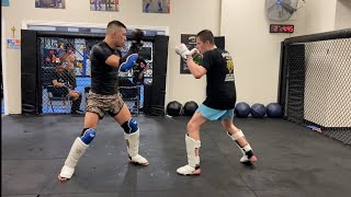 Entertaining MMA Sparring [upl. by Ivie]