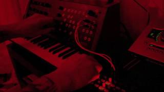 Korg MS20 MiniSQ1  Dislocate [upl. by Kcirej]