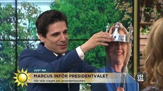 Här kröns nattens drottning  Nyhetsmorgon TV4 [upl. by Manbahs816]