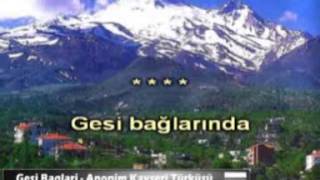 Gesi Bağları şarkısı fon müziği [upl. by Idnam]