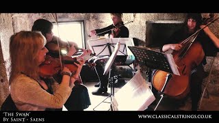 String Quartets The Swan by Saint Saens  Classical Strings Cornwall [upl. by Eeresed424]