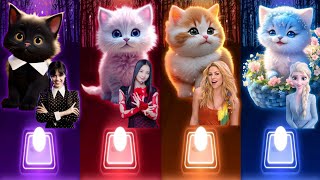 Cute Cats Dance  Wednesday Dance Bloody Mary  Jisoo Flower  Shakira Waka Waka  Elsa Enemy Songs [upl. by Trahurn]