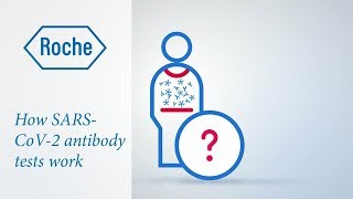 How do antibody tests work [upl. by Nonaihr474]