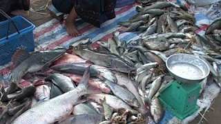 Fisheries in Lao PDR by Mekong River Commission [upl. by Phare621]