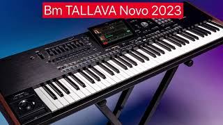 Tallava INSTRUMENTAL I HIT I NOVO 2024 [upl. by Llerahc814]