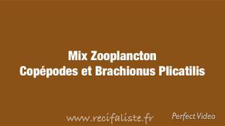 Mix Zooplancton [upl. by Ettennej]