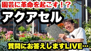 ◆【アクアセル】園芸の救世主！？LIVE的な…絶対見ないでねっ！ [upl. by Losiram]