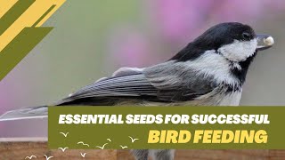 Essential Seeds For Successful Bird Feeding [upl. by Onitrof]