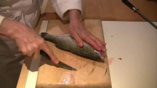 How to scale gut and fillet a fish [upl. by Masson]