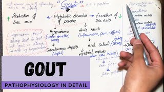 Gout  Pathophysiology in detail HindiUrdu [upl. by Gordy660]