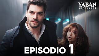 Yaban Çiçekleri  Episodio 1 Sottotitolato in italiano [upl. by Love616]