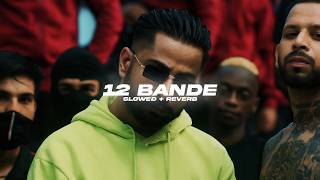 12 Bande Slowed  Reverb  Varinder Brar  BARATO NATION [upl. by Lisk]