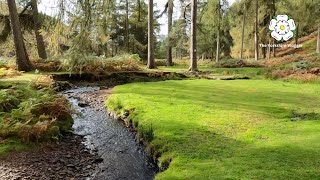 LANGSETT RESERVOIR  South Yorkshire Peak District England Vlog 16 [upl. by Prissy]