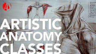 Florence Classical Arts Academy  Atristic Anatomy classes [upl. by Enaenaj]