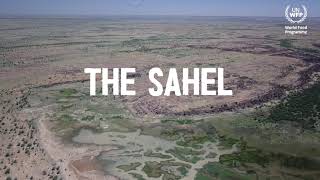 Regreening the Sahel [upl. by Brandt]