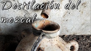 Destilación del mezcal [upl. by Colombi689]