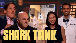 The Sharks Are SHOCKED At Bluelands Asking Share  Shark Tank US  Shark Tank Global [upl. by Celisse]